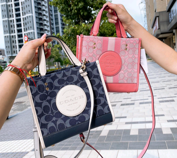 Coach Luxury Fabulous Tote Handbag